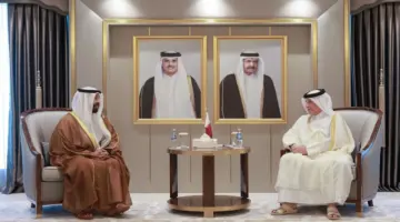 وزير الدولة للشؤون الخارجية يتسلم نسخة من أوراق اعتماد السفير الإماراتي